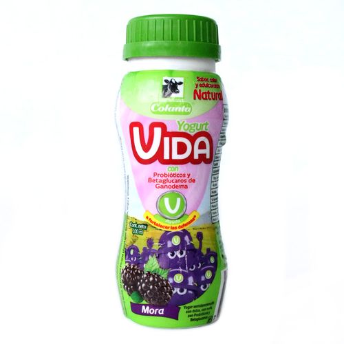 YOGUR VIDA MORA x 100GR