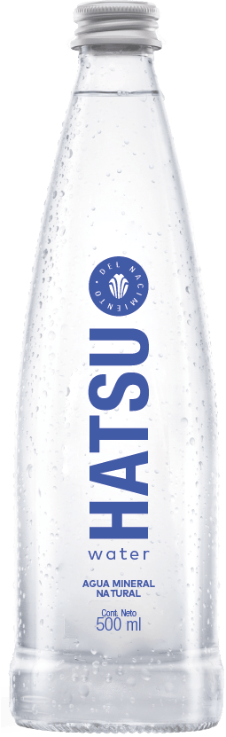 AGUA HATSU NATURAL MINERAL*500ML