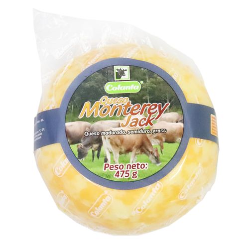 QUESO MONTERREY JACK *475GR