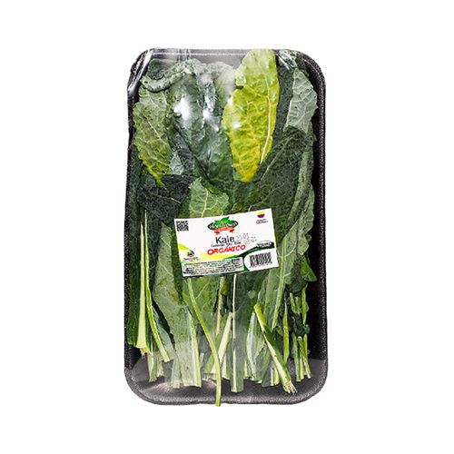 KALE ORGANICO HORTIFRESCO