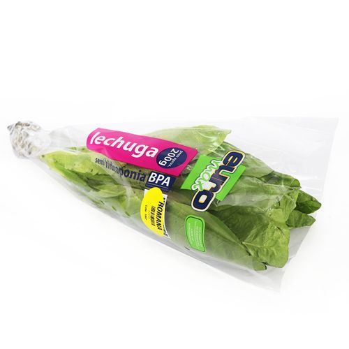 LECHUGA ROMANA