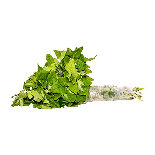 ESPINACA COMUN
