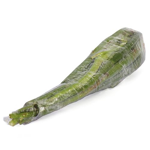 APIO SIN HOJA