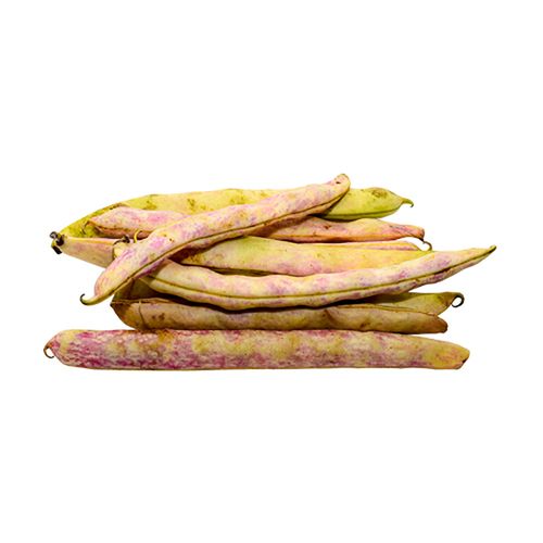 FRIJOL VERDE VAINA