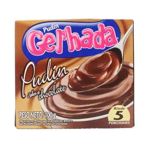 PUDIN GELHADA CHOCOLATE 100gr
