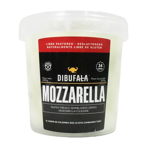 QUESO MOZZARELLA BUFALA X 34 UDS