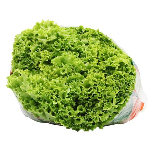 LECHUGA VERDE CRESPA CAMSAL*220GR