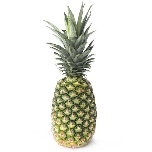 PINA ORO MIEL UNIDAD