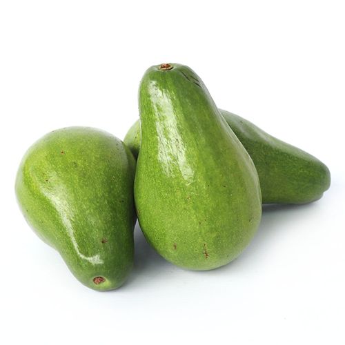 AGUACATE LORENA