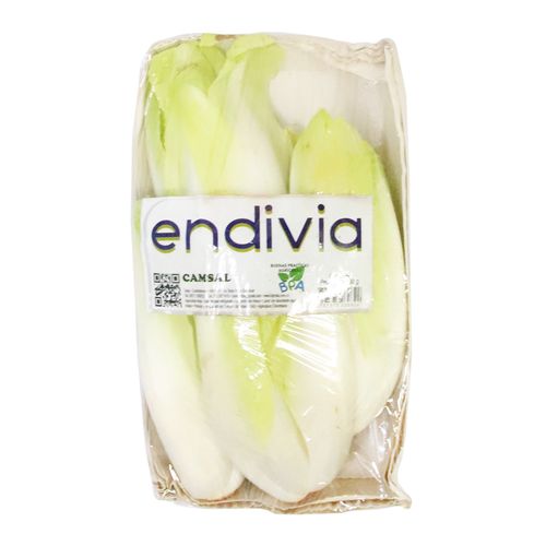 ENDIVIA BANDEJA CAMSAL*200GR