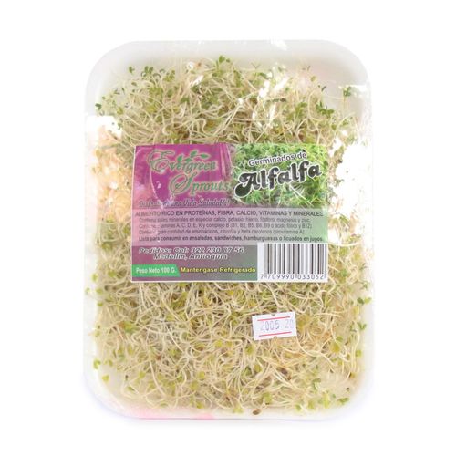 GERMINADOS DE ALFALFA  x 100GR