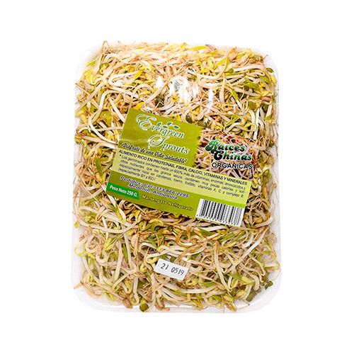 RAIZ CHINA BANDEJA  x 250GR