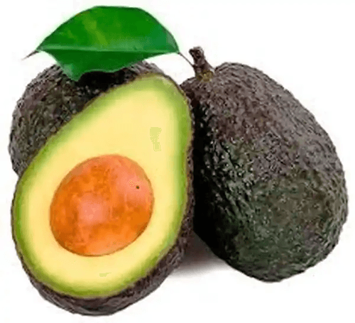 AGUACATE HASS