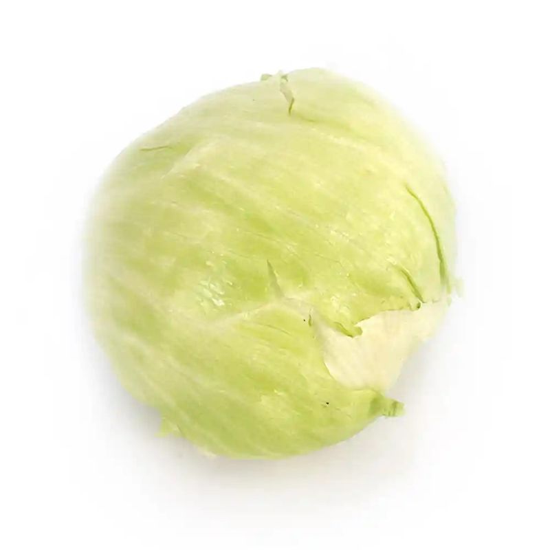 lechuga