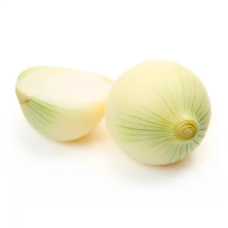 cebolla