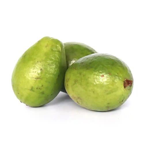 GUAYABA AGRIA
