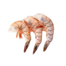 LANGOSTINO U 10 CONGELADO * KILO QUALITY