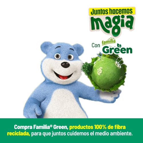 TOALLA DE MANOS FAMILIA NATURAL CAJAx100