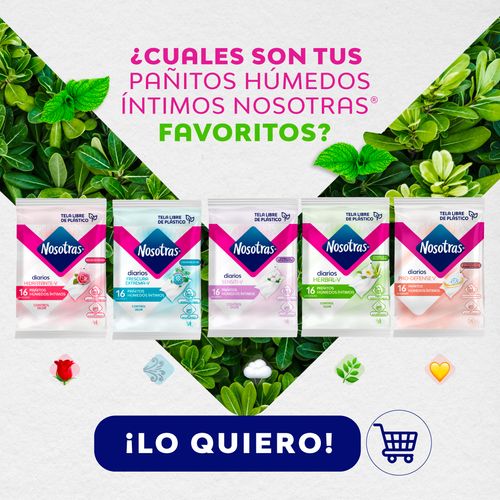 NOSOTRAS NATATURAL PAÑITO INTIMOS 12X16U