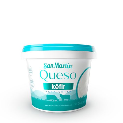 QUESO KEFIR SANMARTIN PARA UNTAR 270GR